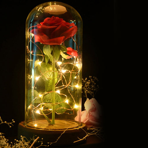 Rose LED Night Lamp